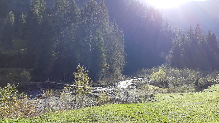 Obermaiselstein 2019 (9)